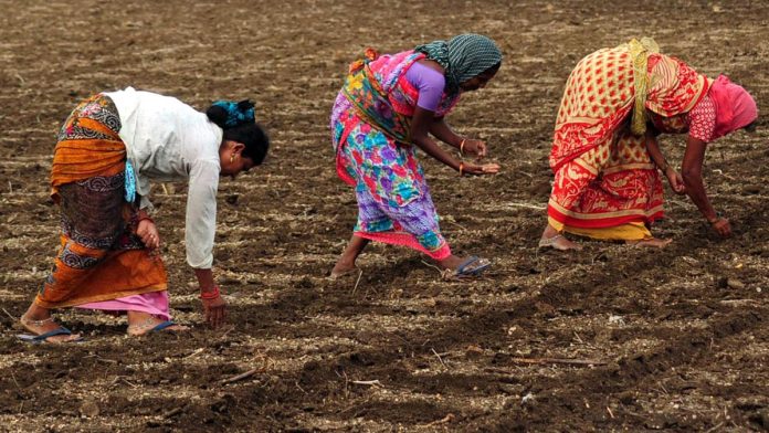 மண்ணில் விதைகளை நடும் விவசாயிகள் | பிரதிநிதித்துவத்திற்கான படம் | ANI கோப்பு புகைப்படம்