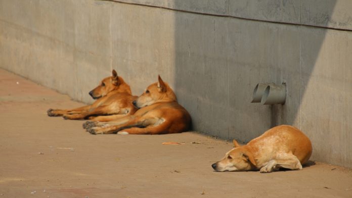 பிரதிநிதித்துவ படம் | பிளிக்கர்