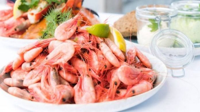 நீண்ட கடற்கரை மற்றும் சாதகமான காலநிலையுடன், ஆந்திரப் பிரதேசம் இந்தியாவில் இறால் உற்பத்தியில் முன்னணியில் உள்ளது | பிரதிநிதித்துவ படம் | பெக்சல்ஸ்