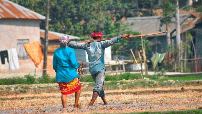 பிரதிநிதித்துவ படம் | பிக்சாபே/சஜல் ஹால்டர்