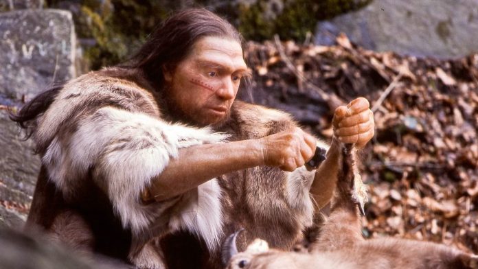 நியண்டர்தால் அருங்காட்சியகத்தில் ஒரு ஆட்டை வெட்டிக் கொல்லும் நியண்டர்தால் மனிதனின் மறுகட்டமைப்பு | காமன்ஸ்